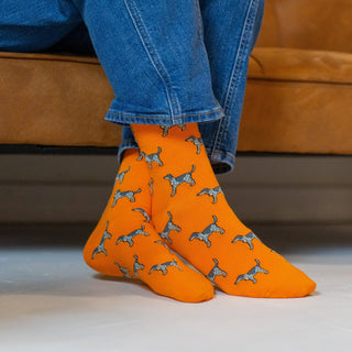 Vibrant Orange Coonhound Socks
