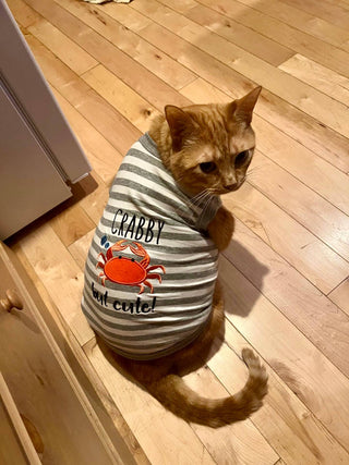 Crabby But Cute Funny Dog T-Shirt