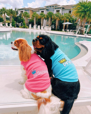 Princess Dog T-Shirt – Royal & Stylish Outfit for Small Dogs