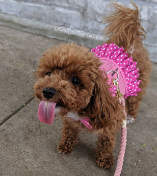 Pink Polka Dot Dog Harness Dress