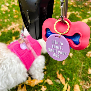 Gus & Co Dog Tag and Keychain Set