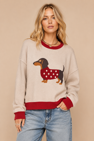Dachshund Colorblock Sweater