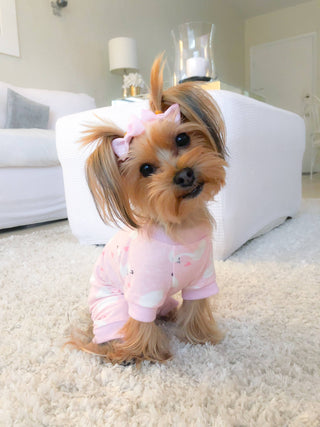 Pink Swan Pajama – Adorable & Snug Dog Outfit