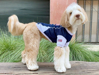 Team USA Jersey Dog T-Shirt – Perfect for Patriotic Pups