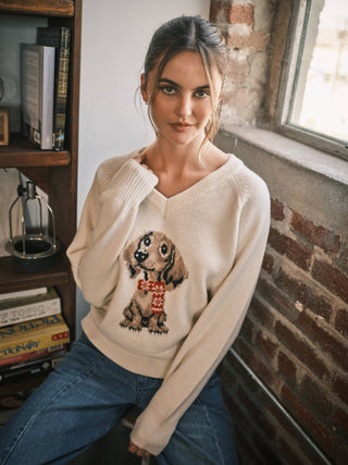 "Cozy Doxie" Vintage V-Neck Graphic Sweater