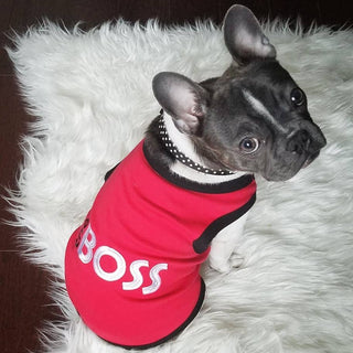 "The Boss" Dog T-Shirt