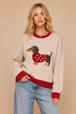Dachshund Colorblock Sweater