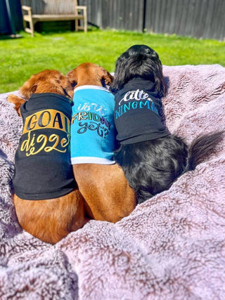 Goal Digger Dog T-Shirt – Fun & Trendy Pet Outfit for Dogs