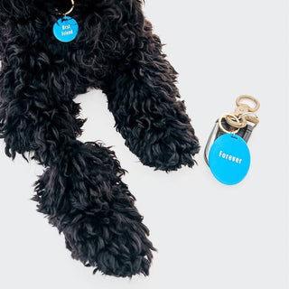 Gus & Co Dog Tag and Keychain Set