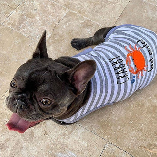 Crabby But Cute Funny Dog T-Shirt