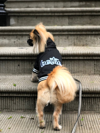 Bestie Hoodie – Adorable & Warm Dog Hoodie for Pups