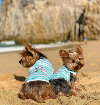 Tropical Flamingo Dog Tee