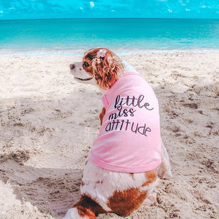Little Miss Attitude Dog T-Shirt – Bold & Comfy Dog Apparel