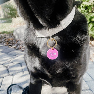 Gus & Co Dog Tag and Keychain Set