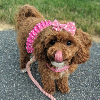 Pink Polka Dot Dog Harness Dress