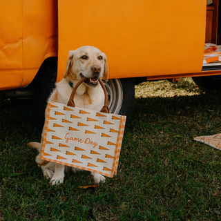 Tennessee Game Day Pennant Tote - Orange Gingham Canvas Bag