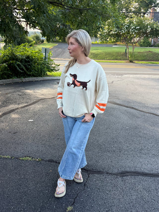 Tennessee Game Day Dachshund Graphic Knit Sweater