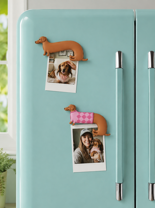 Four dachshund-shaped magnets in different poses and sweaters on a refrigerator holding photos.