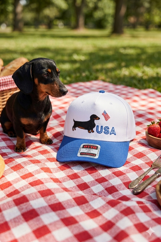 Americana Dachshund Embroidered Hat