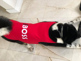 "The Boss" Dog T-Shirt
