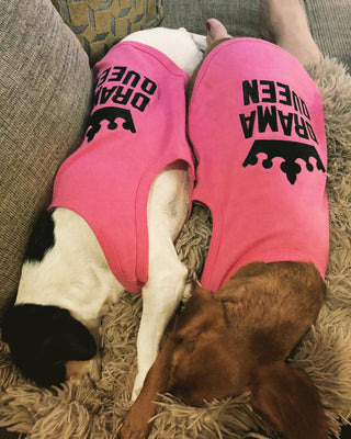 Drama Queen Pink Dog T-Shirt