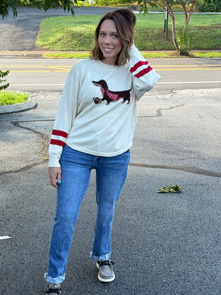 Georgia Game Day Dachshund Graphic Knit Sweater