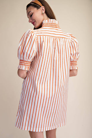 Ruffle V-Neck Smocked Puff Sleeve Stripe Mini Dress