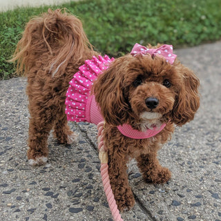 Pink Polka Dot Dog Harness Dress