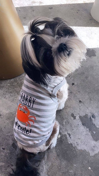 Crabby But Cute Funny Dog T-Shirt