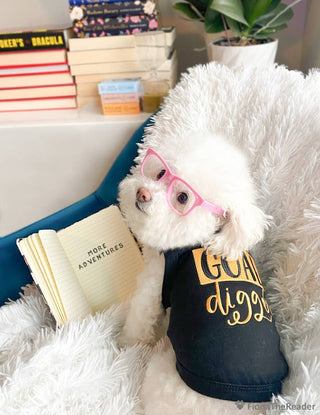 Goal Digger Dog T-Shirt – Fun & Trendy Pet Outfit for Dogs