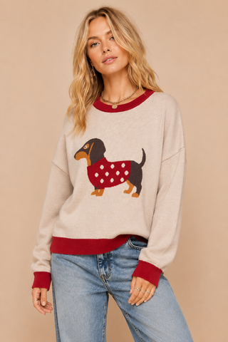 Dachshund Colorblock Sweater