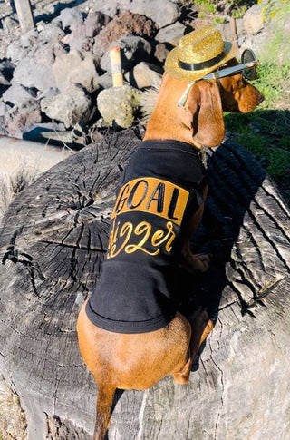 Goal Digger Dog T-Shirt – Fun & Trendy Pet Outfit for Dogs