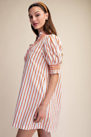Ruffle V-Neck Smocked Puff Sleeve Stripe Mini Dress