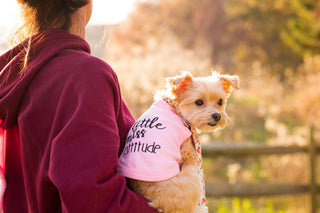 Little Miss Attitude Dog T-Shirt – Bold & Comfy Dog Apparel