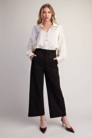 Luxe Satin V-Collar Blouse with Puff Sleeves