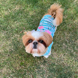 Tropical Flamingo Dog Tee