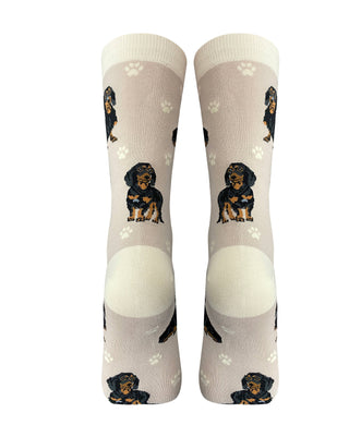 Black Dachshund Novelty Socks