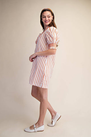 Ruffle V-Neck Smocked Puff Sleeve Stripe Mini Dress