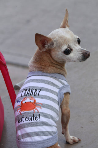 Crabby But Cute Funny Dog T-Shirt