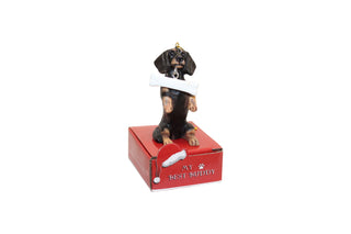 A black Dachshund ornament with a white bone around its neck, sitting on a red box.