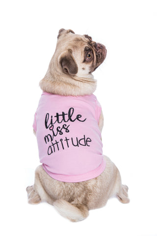 Little Miss Attitude Dog T-Shirt – Bold & Comfy Dog Apparel