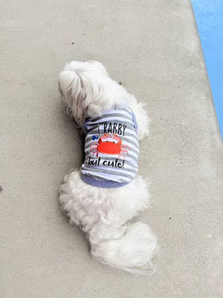 Crabby But Cute Funny Dog T-Shirt